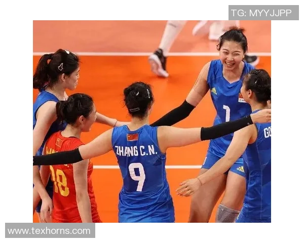 上海排球队意识对比深度解析与发展趋势探讨