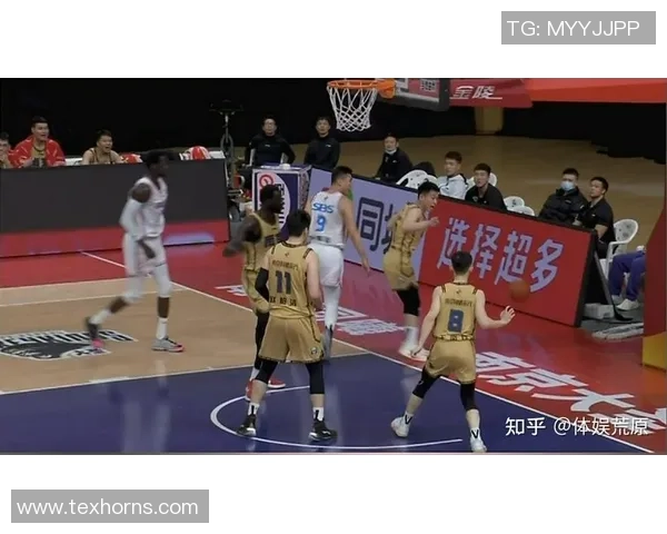 武汉篮球队的节奏解析：深度剖析球队战术与风格的背后故事